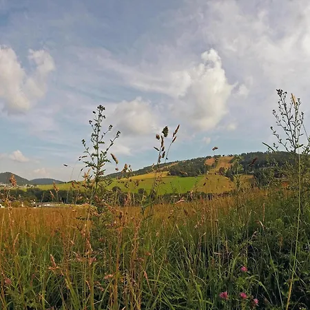 아파트 Zum Bachrauschen